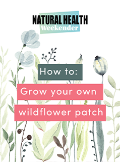 How to: grow your own wildflower patch